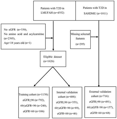 Interpretable machine learning identifies metabolites associated with glomerular filtration rate in type 2 diabetes patients